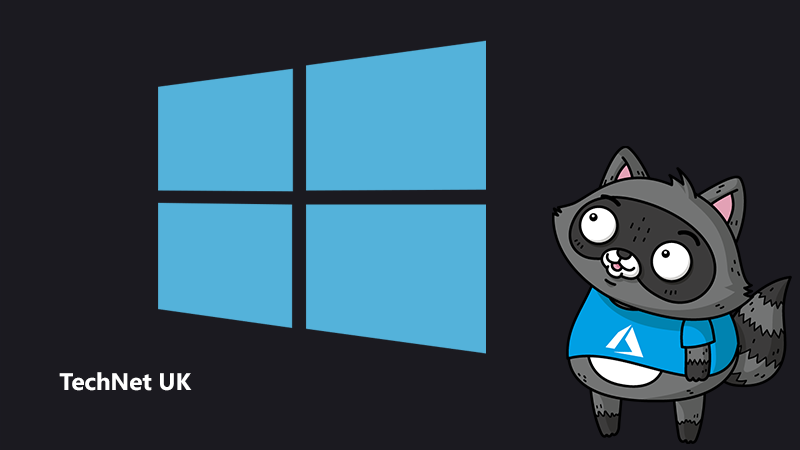 An image of the Windows logo, beside an illustration of Bit the Raccoon