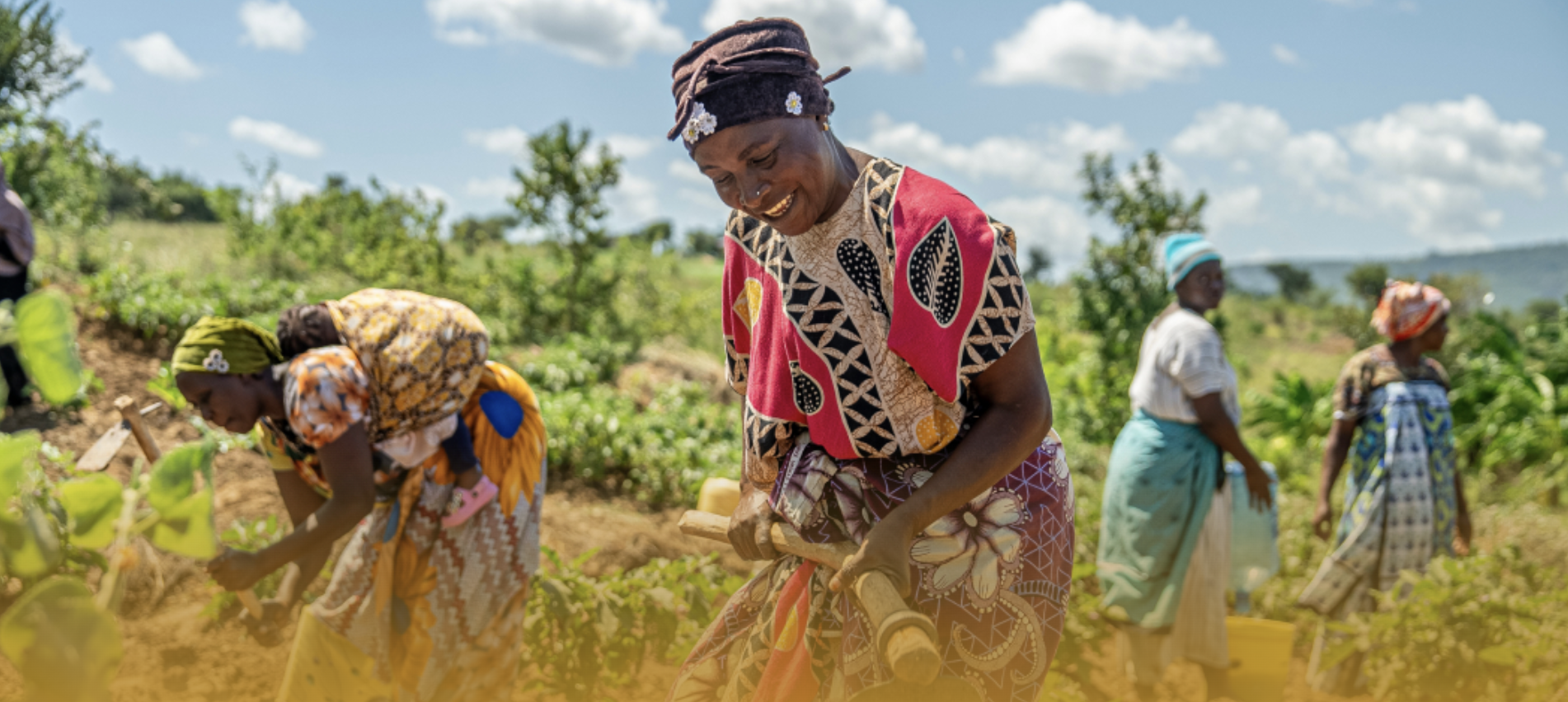 Curbing malnutrition with AI