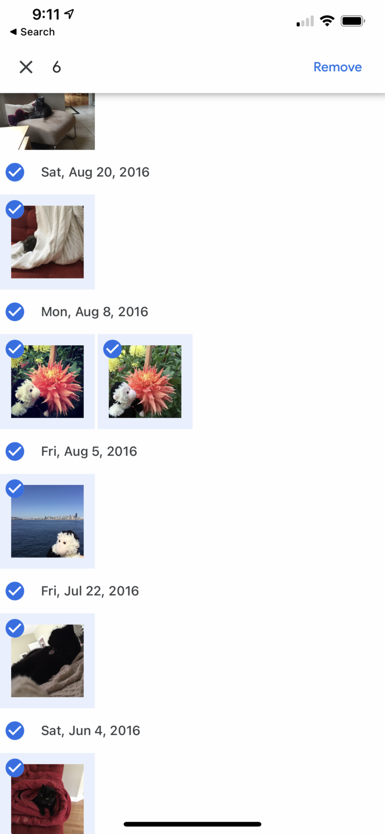 card example thumbnail