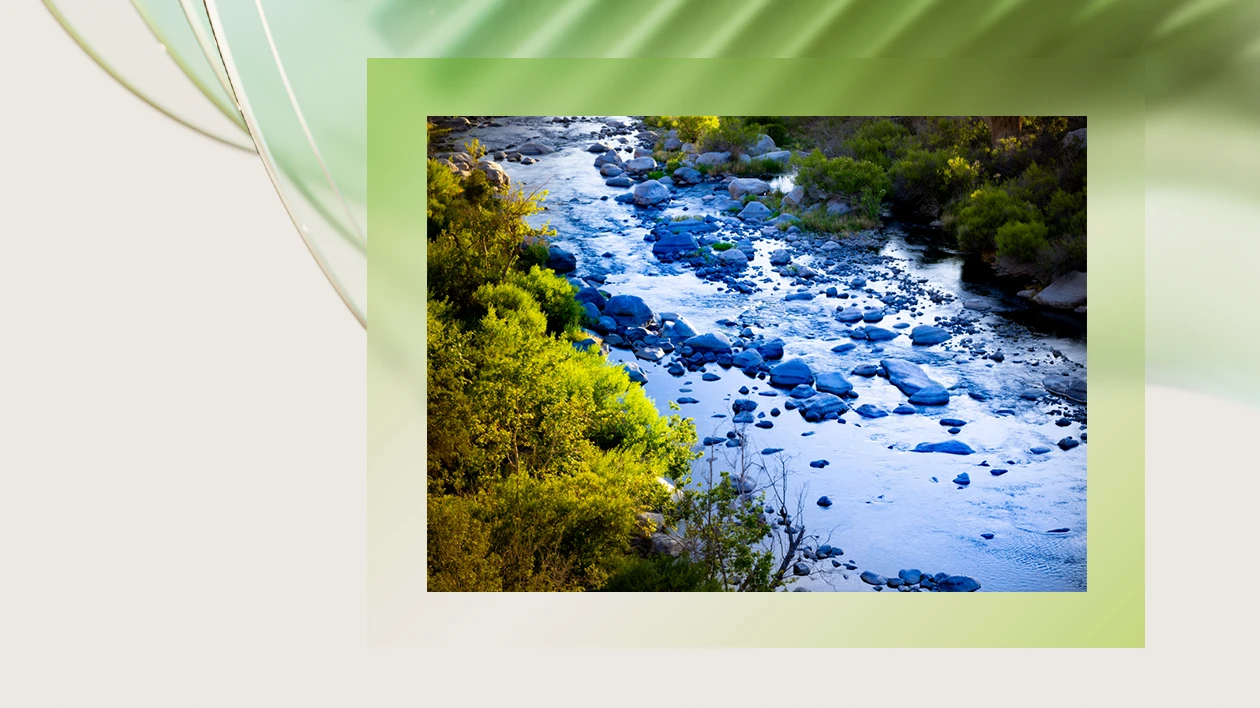 A decorative image of water flowing in a stream