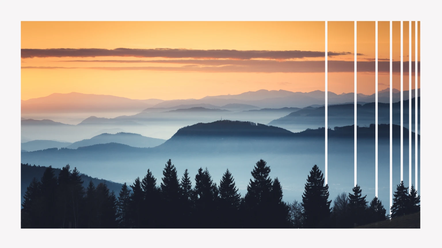 2026 Environmental Sustainability Report