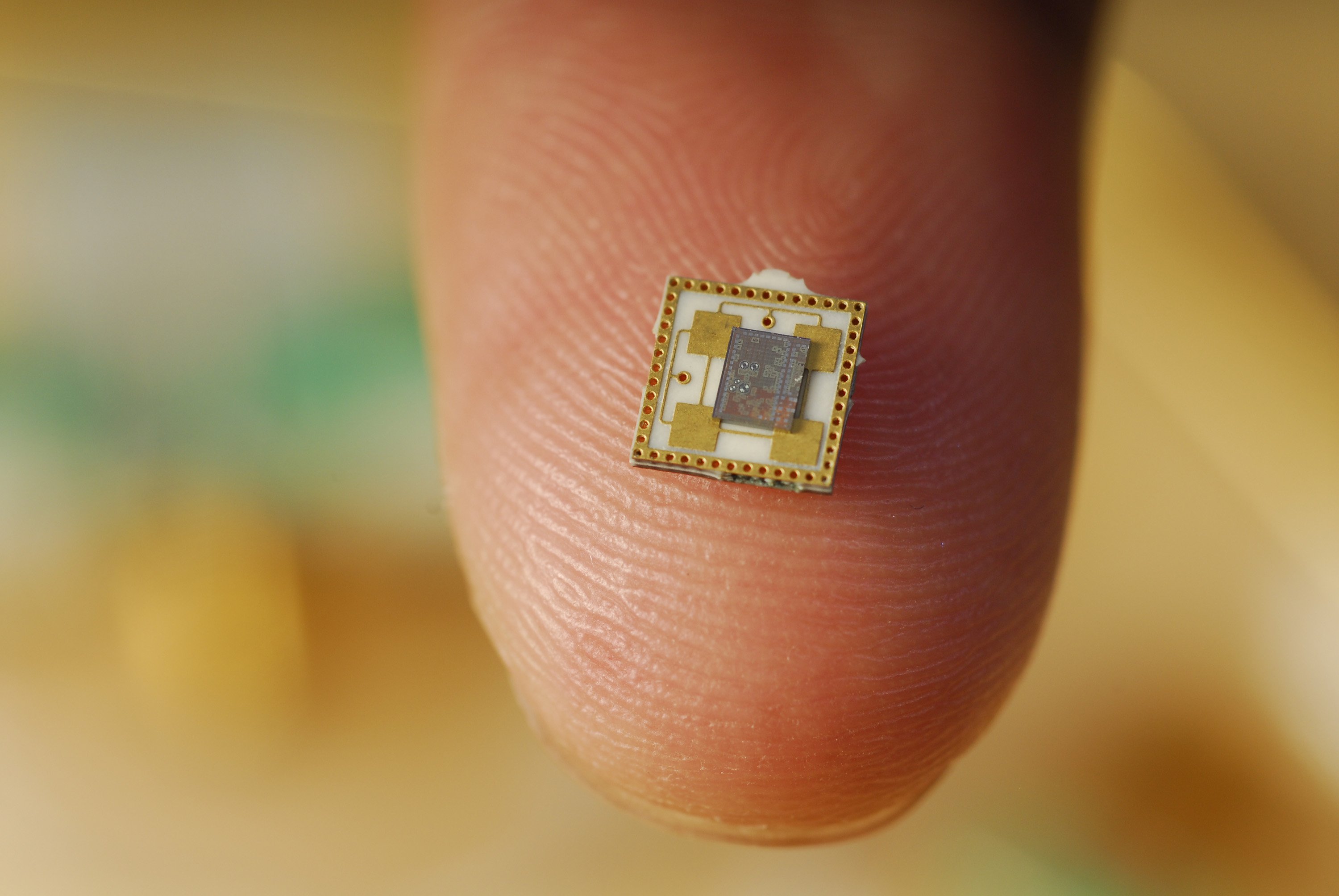 close-up of a chip on the end of a finger