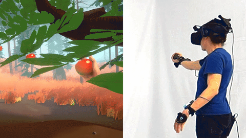 Animated Gif Image