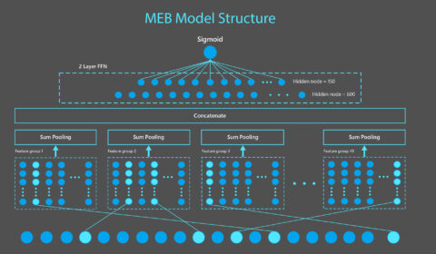 Technical diagram of MEB model. MEB is a sparse neural network model composed of an input layer taking in binary features, a feature embedding layer transforming each binary feature into a 15-dimension vector, a sum pooling layer applied on each of 49 feature groups and concatenated to produce a 735-dimension vector, which is then passed through two dense layers to produce a click probability. Features shown in this figure are generated from the example query “Microsoft Windows” and document research.codeghost.online/en-us/windows.