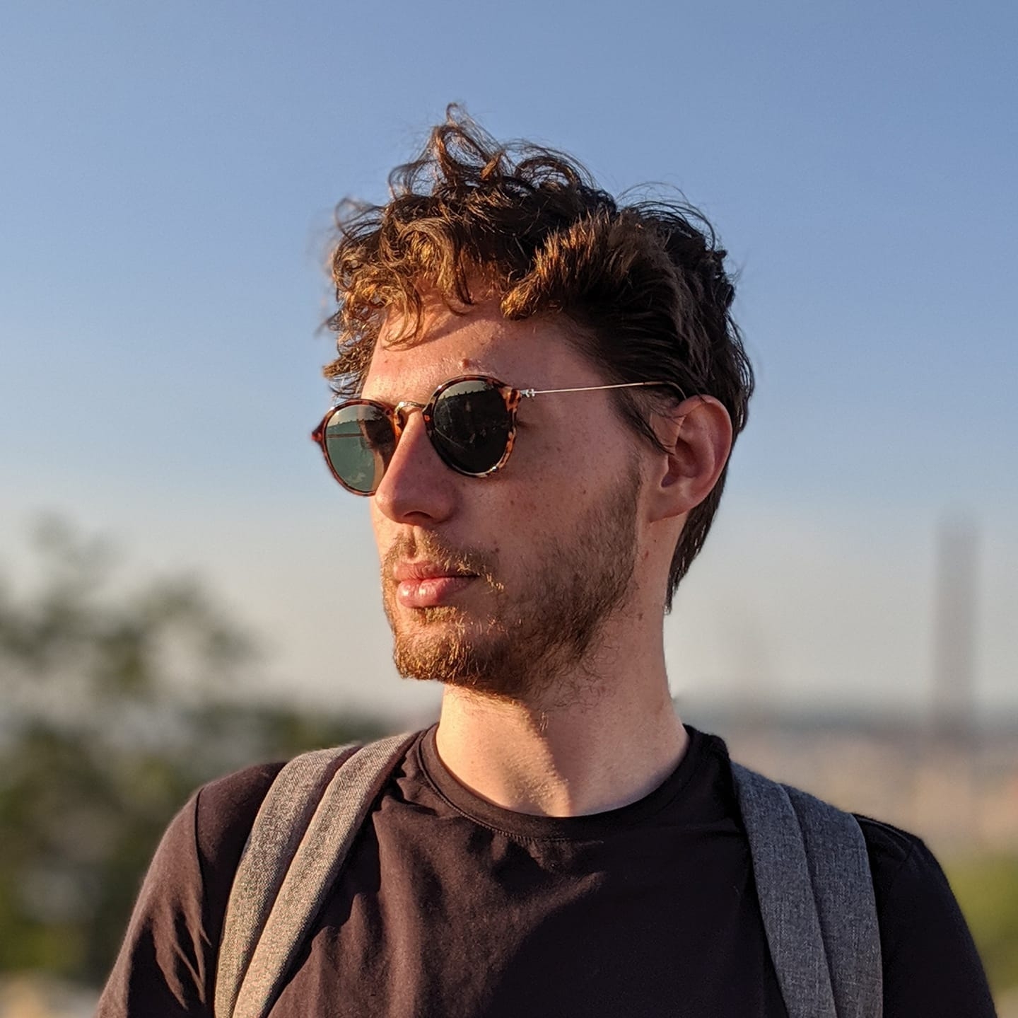 Portrait de Dominic Ayre