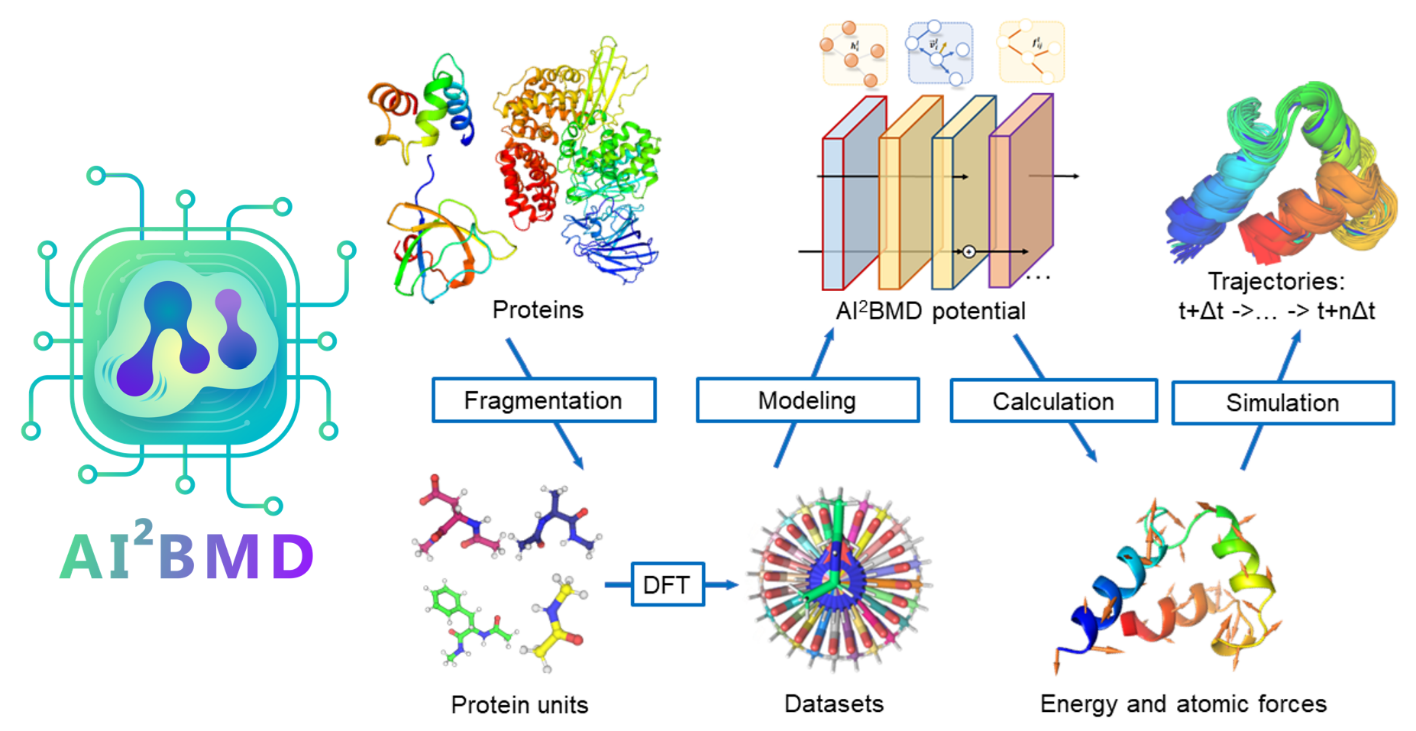 Figure 3. The overall pipeline of AI2BMD (see demos at https://microsoft.github.io/AI2BMD/index.html). Proteins are divided into protein units by fragmentation process. The AI2BMD potential is designed based on ViSNet, and the datasets are generated at DFT level. It calculates the energy and atomic forces for the whole protein. The AI2BMD simulation system is built upon all these components and provides a generalizable solution to perform simulations for various proteins. It makes ab initio accuracy on energy and force calculations. By comprehensive analysis from both kinetics and thermodynamics, AI2BMD exhibits good alignments with wet-lab experiment data and detects different phenomenon compared with molecular mechanics.