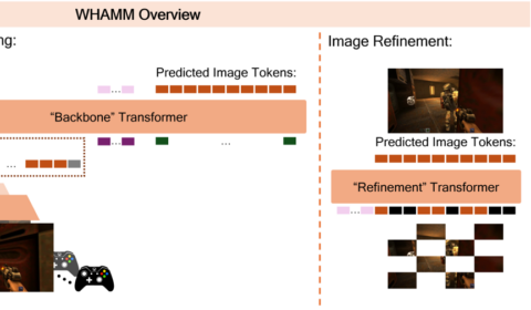 WHAMM overview