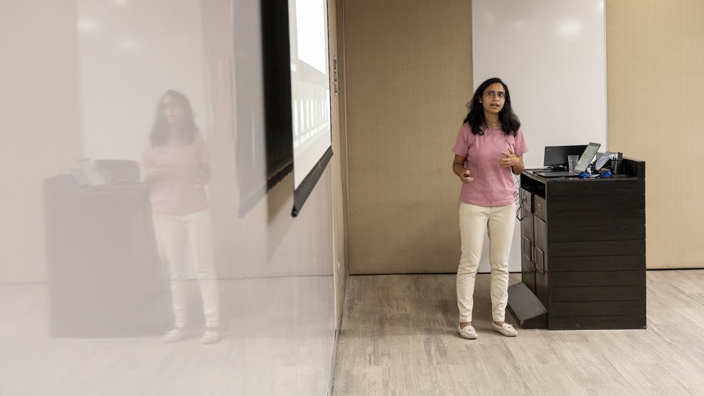 Photograph of a presenter giving a presentation next to a podium.