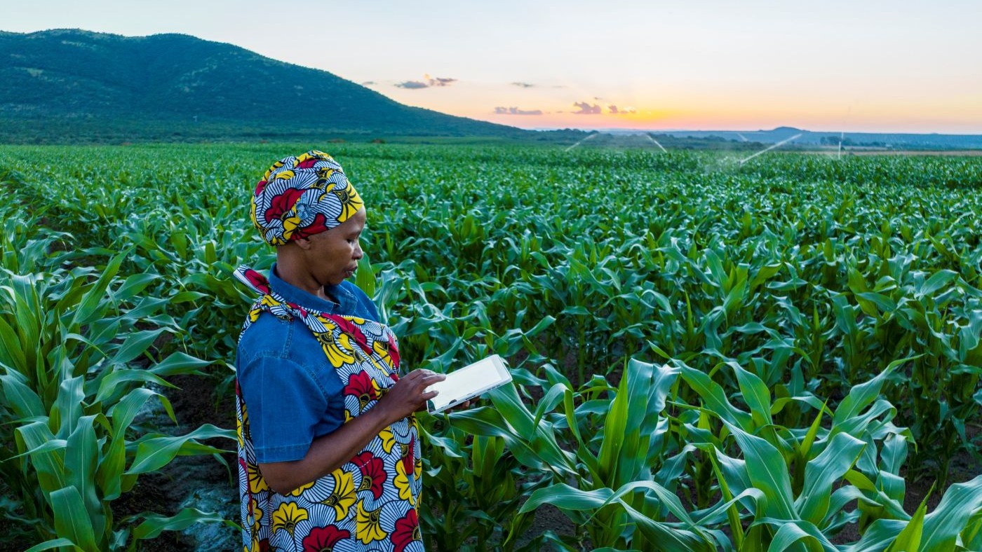 Female African farmer standing in a crop field review data on a tablet