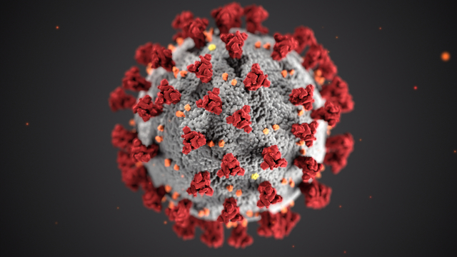 CDC rendering of the novel coronavirus.