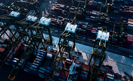 Image of cranes