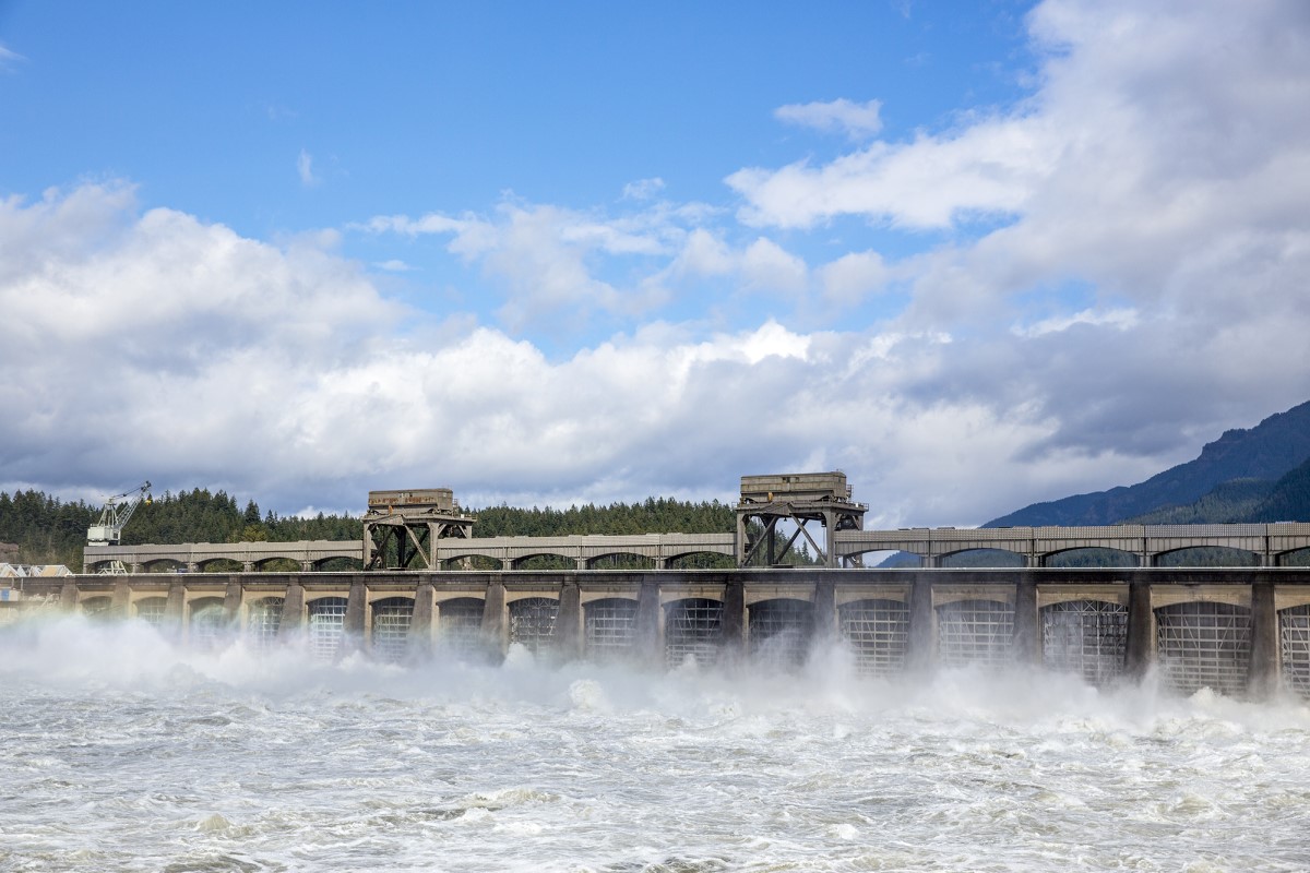 Dam and hydroelectric power facility
