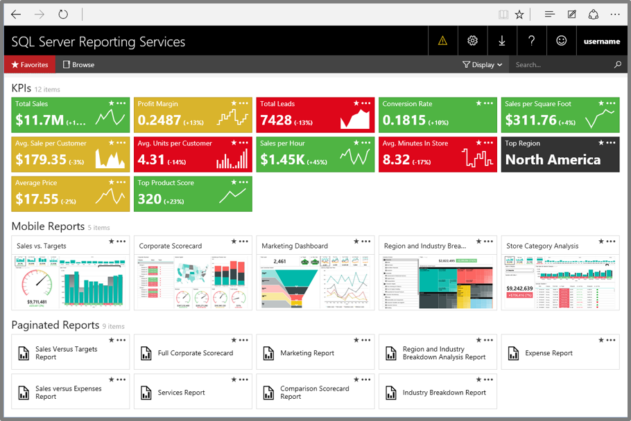 SQL Server Reporting Services dashboard.