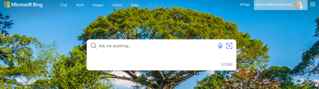 New Bing