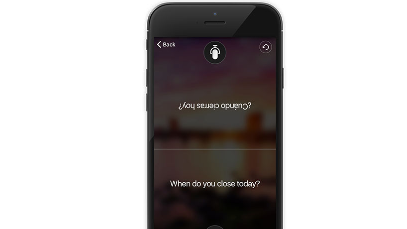 Die Split-Screen-Funktion der Translator App wird auf einem mobilen Gerät angezeigt.